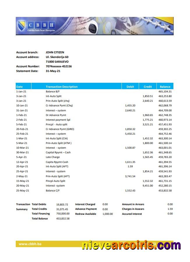 Bosnia and Herzegovina Central Bank statement easy to fill in Excel and PDF format (AutoSum)